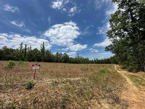 TRACT 11 PYBURNS, Savannah, TN 38372
