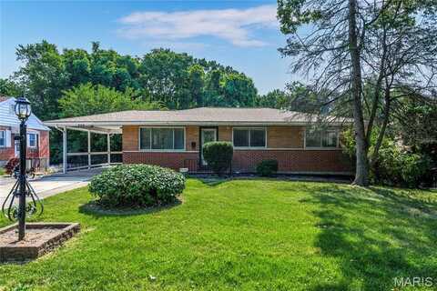 700 N Elizabeth Avenue, Ferguson, MO 63135