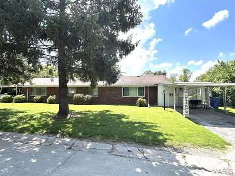 8916 Tanglewood Circle, Belleville, IL 62223