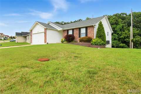 5159 Jeremiah Boulevard, Hillsboro, MO 63050