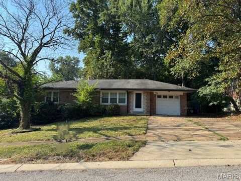 702 Palace Court, Saint Louis, MO 63135
