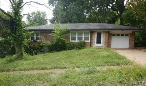 702 Palace Court, Saint Louis, MO 63135