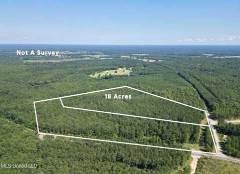 Gobbler Head Road, Poplarville, MS 39470