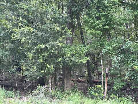Tbd SW RENO WAY, FORT WHITE, FL 32038