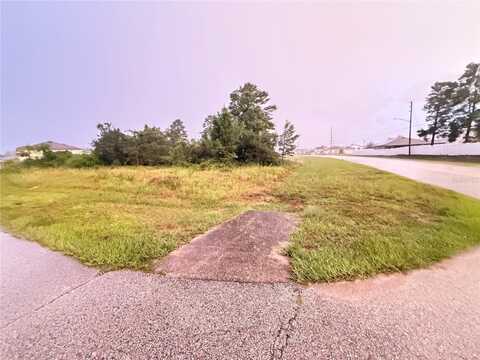 2 REDWOOD COURT, KISSIMMEE, FL 34759