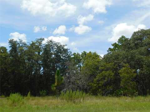 6681 N BEDSTROW BOULEVARD, DUNNELLON, FL 34434