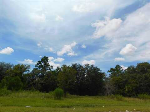 6683 N BEDSTROW BOULEVARD, DUNNELLON, FL 34434
