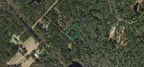 TREBOR LANE, SOPCHOPPY, FL 32358