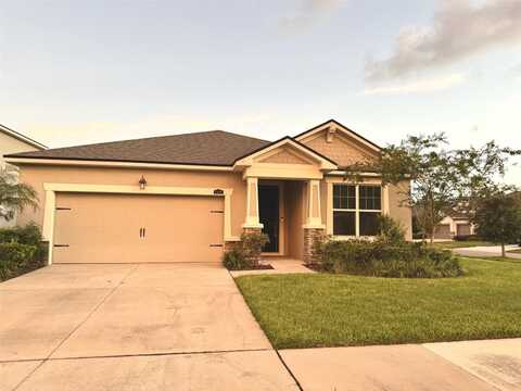 11409 BLUE WOODS DRIVE, RIVERVIEW, FL 33569