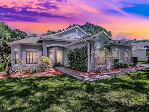 895 SILVERTIP ROAD, APOPKA, FL 32712