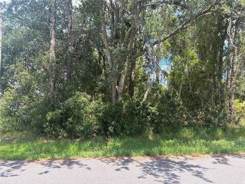 24 ZINNIA TRAIL, PALM COAST, FL 32164