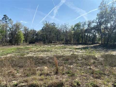 150TH LANE, WILLISTON, FL 32696