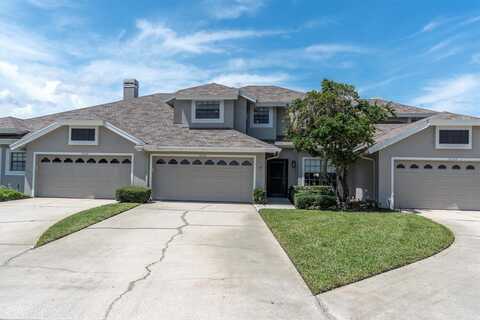 16168 CRAIGEND PLACE, ODESSA, FL 33556