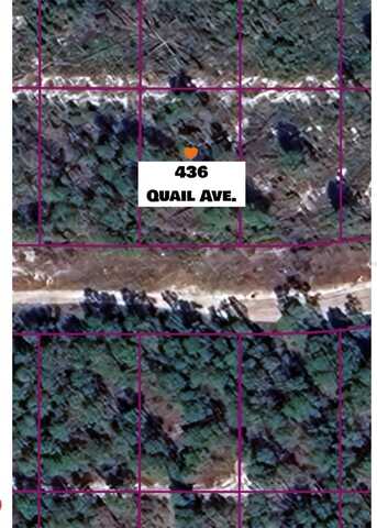 436 QUAIL AVENUE, SEBRING, FL 33870