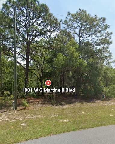 W G MARTINELLI BLVD, CITRUS SPRINGS, FL 34434