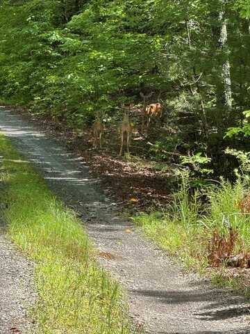 00 Right Field Dr, MURPHY, NC 28906