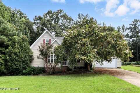 206 Koufax Drive, Pikeville, NC 27683