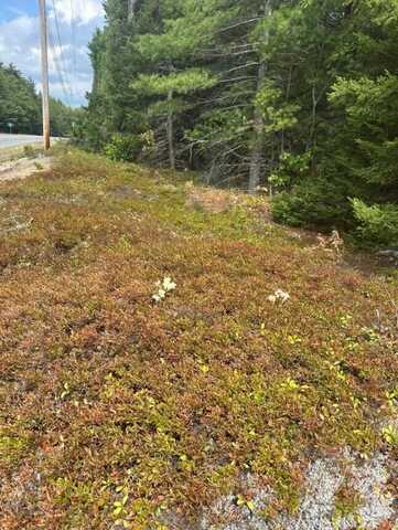 0 Route 1- 0 Gouldsboro Point Road, Gouldsboro, ME 04607