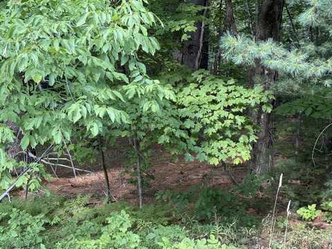 M8l43 Greenville Road, Monson, ME 04464