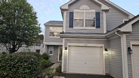 107 Capella Court, Lake In The Hills, IL 60156
