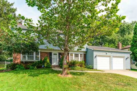 610 Checker Drive, Buffalo Grove, IL 60089