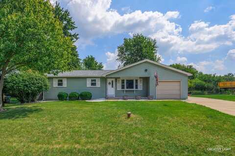 23959 S Green Heron Drive, Channahon, IL 60410