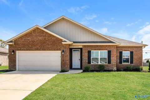 25248 Delilah Circle, Athens, AL 35613