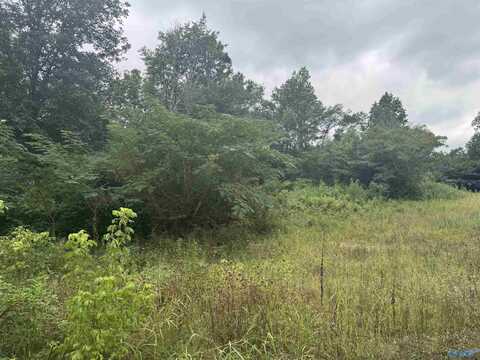 Lot 9 Welcome Home Church Road, Horton, AL 35980