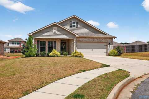 137 Sunlit Grove Drive, Harvest, AL 35749