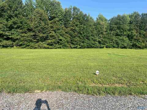 Lot 25 County Road 1057, Cedar Bluff, AL 35959
