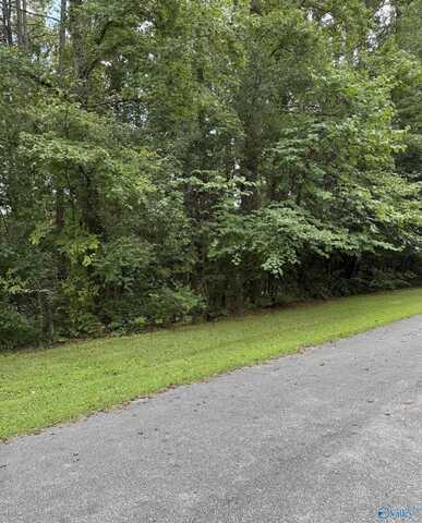 Lot 45,46 Woodside Street, Childersburg, AL 35044