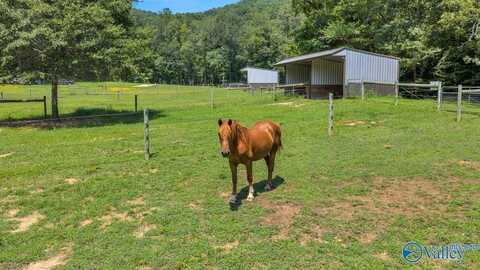 304 Carlton Road, Scottsboro, AL 35769