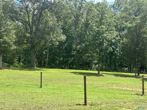 304 Carlton Road, Scottsboro, AL 35769