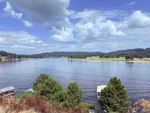 172 County Road 316, Crane Hill, AL 35053