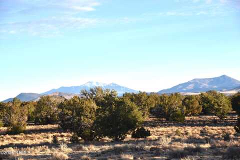 9075 Bird Dog Circle, Williams, AZ 86046