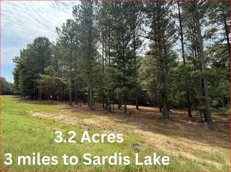 Hwy 315, Sardis, MS 38666