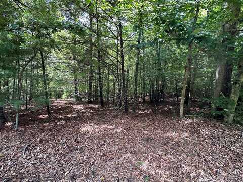 95 Rabbit Knob Drive, Young Harris, GA 30582