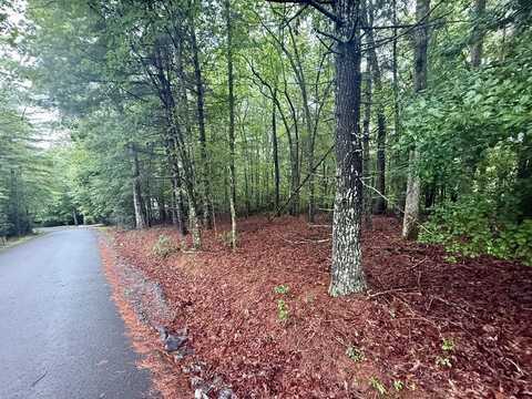 Lot 15 White Pine Drive, Hayesville, NC 28904