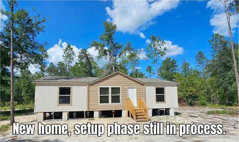 18180 180TH STREET, Live Oak, FL 32060