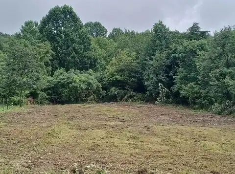 4821 Goddard Road, Wallingford, KY 41093