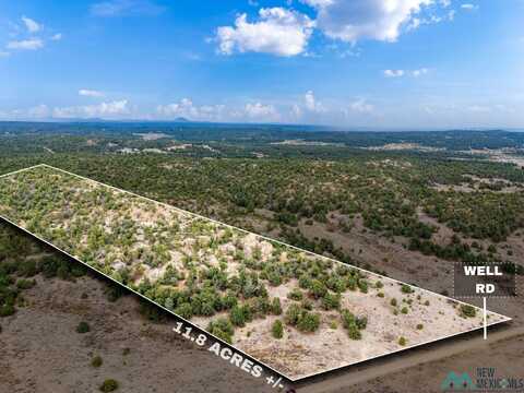 Lot 12 Nightwalker Trail, Pinehill, NM 87357