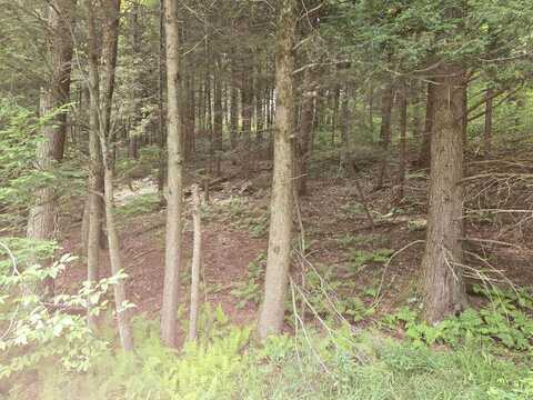 8 Bentley Lane, Jericho, VT 05465
