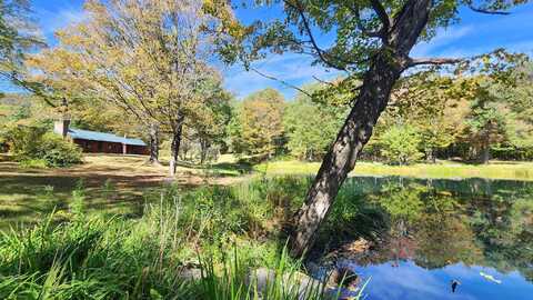1342 Old Stage Road, Chester, VT 05143