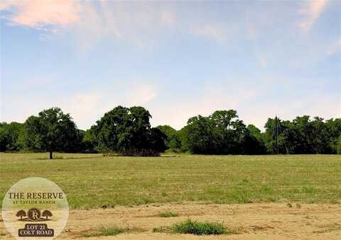 Lot 21 Colt Road, Springtown, TX 76082