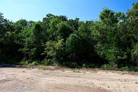 Lot 25 Colt Road, Springtown, TX 76082