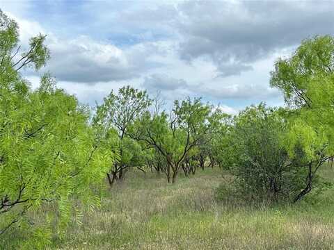 Tbd County Road 100, Abilene, TX 79601