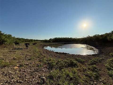 Tbd County Road 100, Abilene, TX 79601