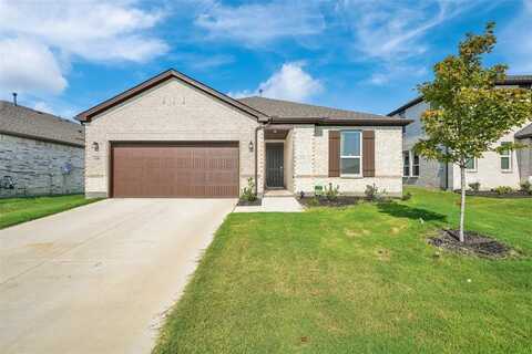 650 Jupe Way, Princeton, TX 75407