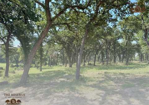 Lot 16 Colt Road, Springtown, TX 76082
