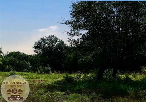 Lot 30 Colt Road, Springtown, TX 76082